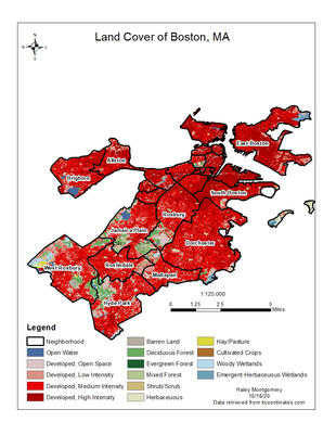 NLCD of Boston, MA